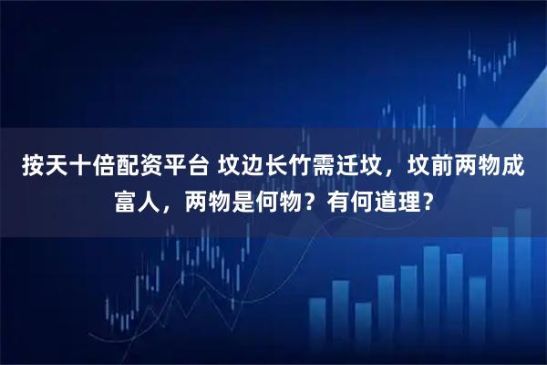 按天十倍配资平台 坟边长竹需迁坟，坟前两物成富人，两物是何物？有何道理？