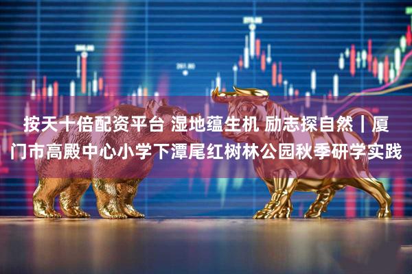 按天十倍配资平台 湿地蕴生机 励志探自然｜厦门市高殿中心小学下潭尾红树林公园秋季研学实践