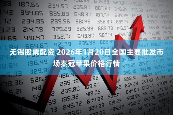 无锡股票配资 2026年1月20日全国主要批发市场秦冠苹果价格行情